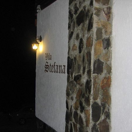 Vila Stefana Păltiniş Exterior foto